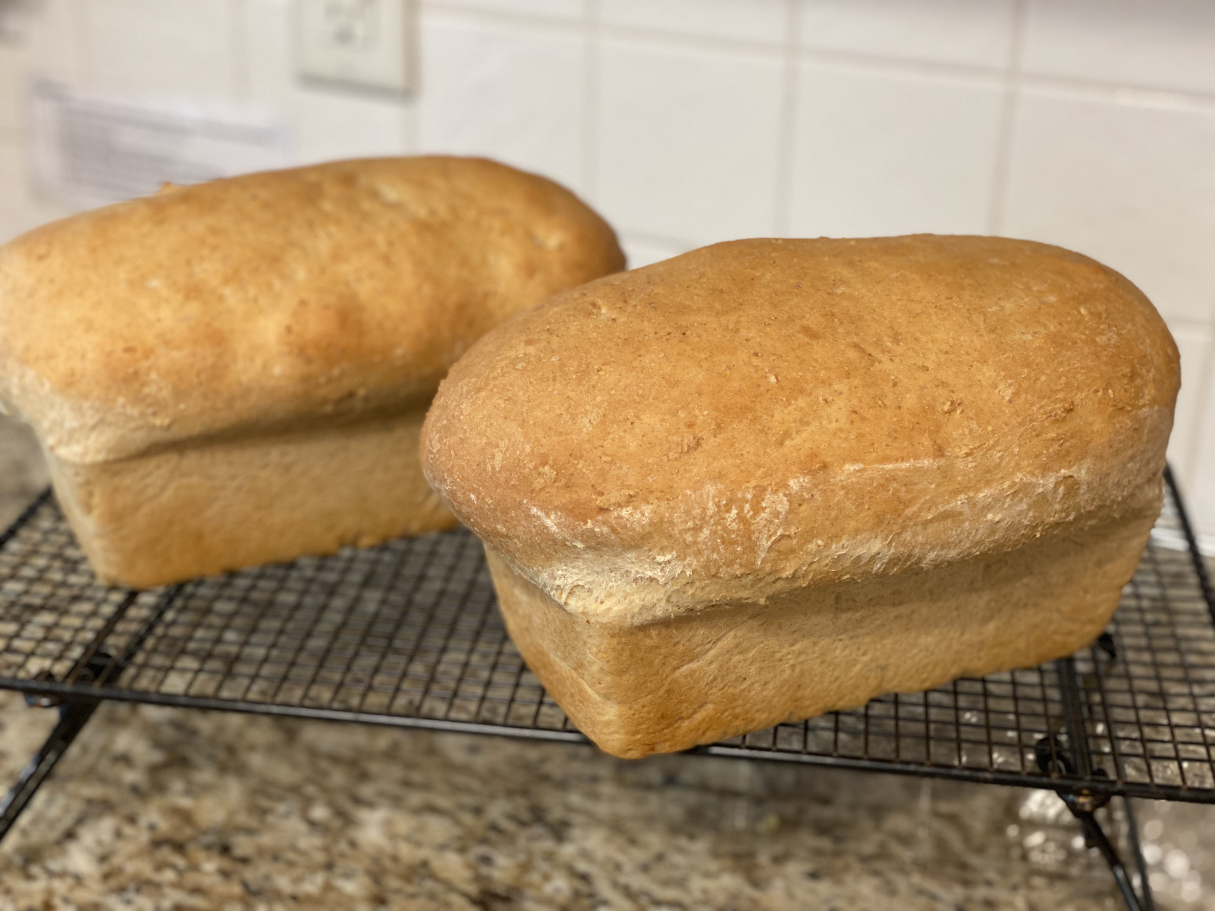 Artisan Bread